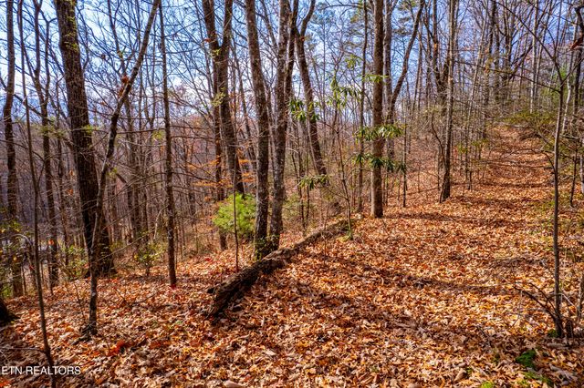 Lot 2 Tatem Marr Way, Sevierville, TN 37876