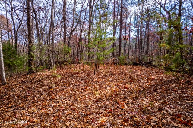 Lot 2 Tatem Marr Way, Sevierville, TN 37876