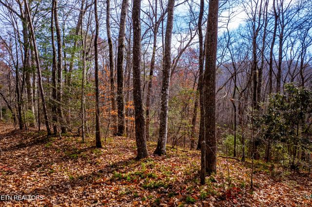 Lot 2 Tatem Marr Way, Sevierville, TN 37876