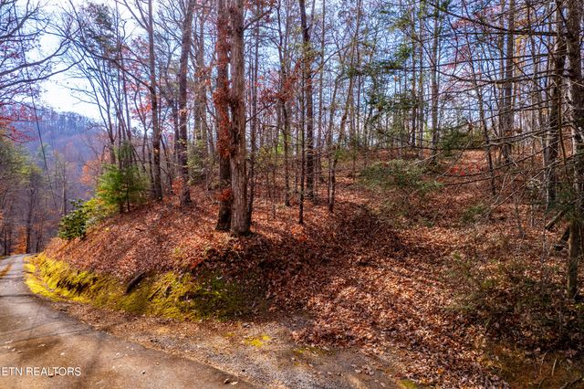Lot 2 Tatem Marr Way, Sevierville, TN 37876