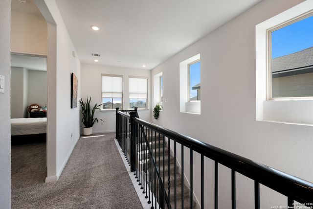3223 Blue Lobelia, New Braunfels, TX 78130