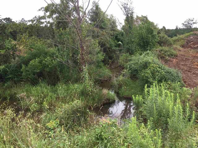 0 Highway 80 Highway, Forest, MS 39074