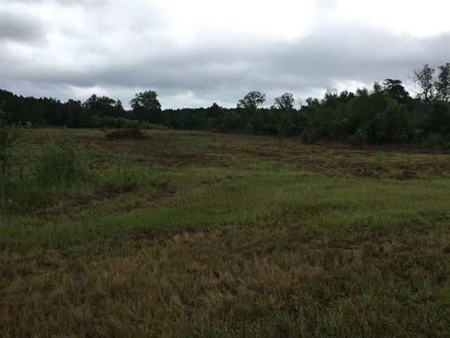 0 Highway 80 Highway, Forest, MS 39074