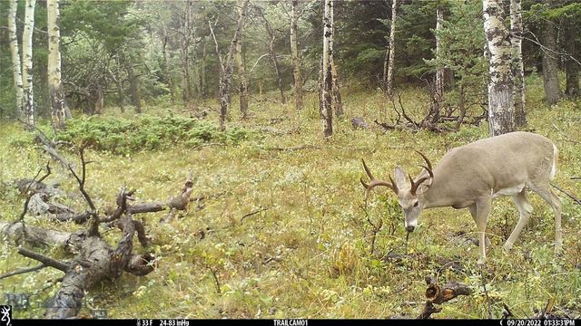 19 September Drive, Clancy, MT 59634