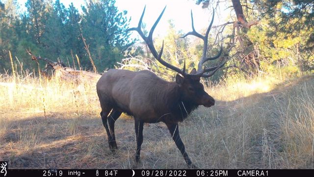 19 September Drive, Clancy, MT 59634