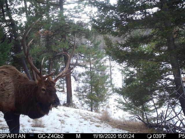 19 September Drive, Clancy, MT 59634