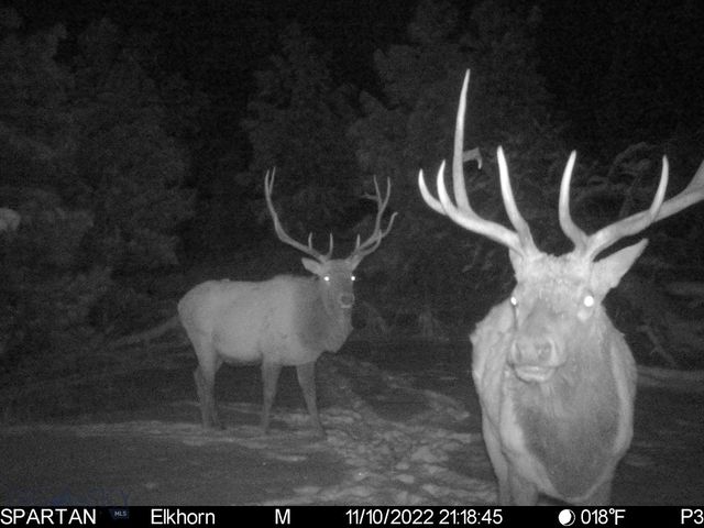 19 September Drive, Clancy, MT 59634