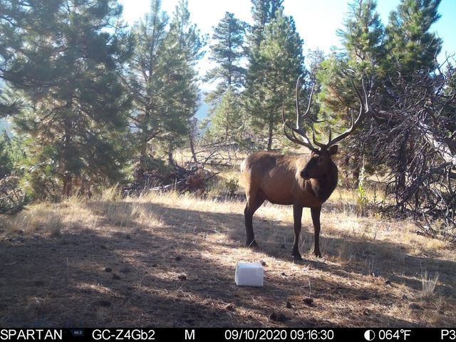 19 September Drive, Clancy, MT 59634