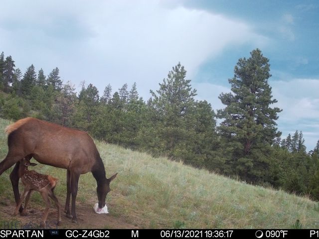 19 September Drive, Clancy, MT 59634