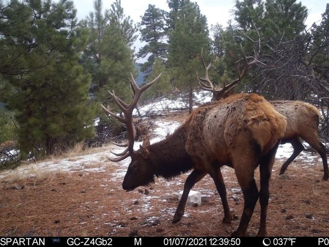 19 September Drive, Clancy, MT 59634