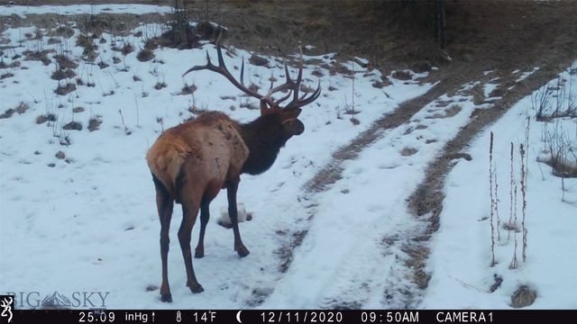 19 September Drive, Clancy, MT 59634