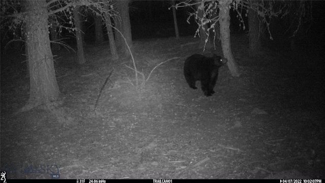 19 September Drive, Clancy, MT 59634