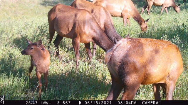 19 September Drive, Clancy, MT 59634