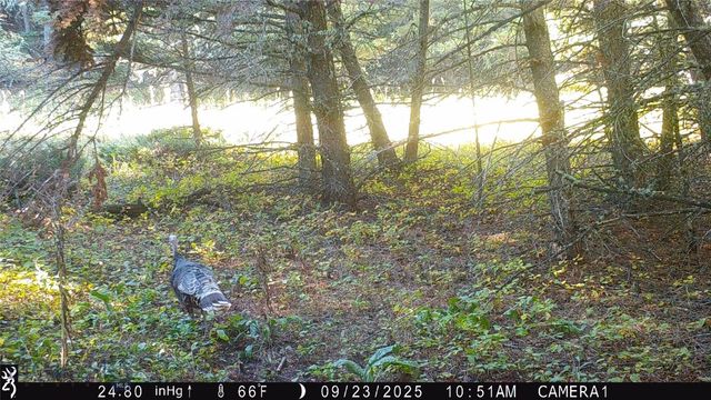 19 September Drive, Clancy, MT 59634