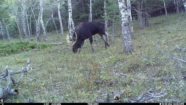 19 September Drive, Clancy, MT 59634