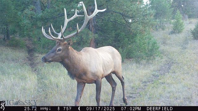 19 September Drive, Clancy, MT 59634