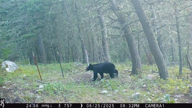 19 September Drive, Clancy, MT 59634