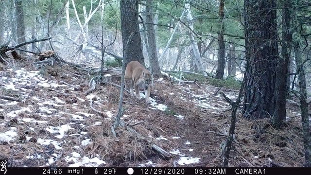 19 September Drive, Clancy, MT 59634