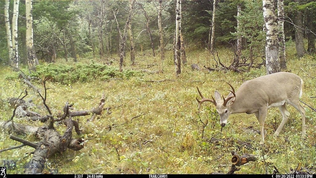 19 September Drive, Clancy, MT 59634 photo 78