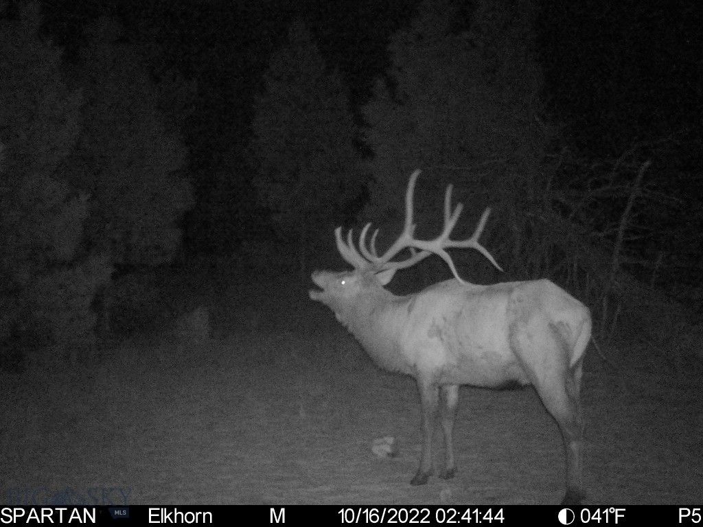 19 September Drive, Clancy, MT 59634 photo 81