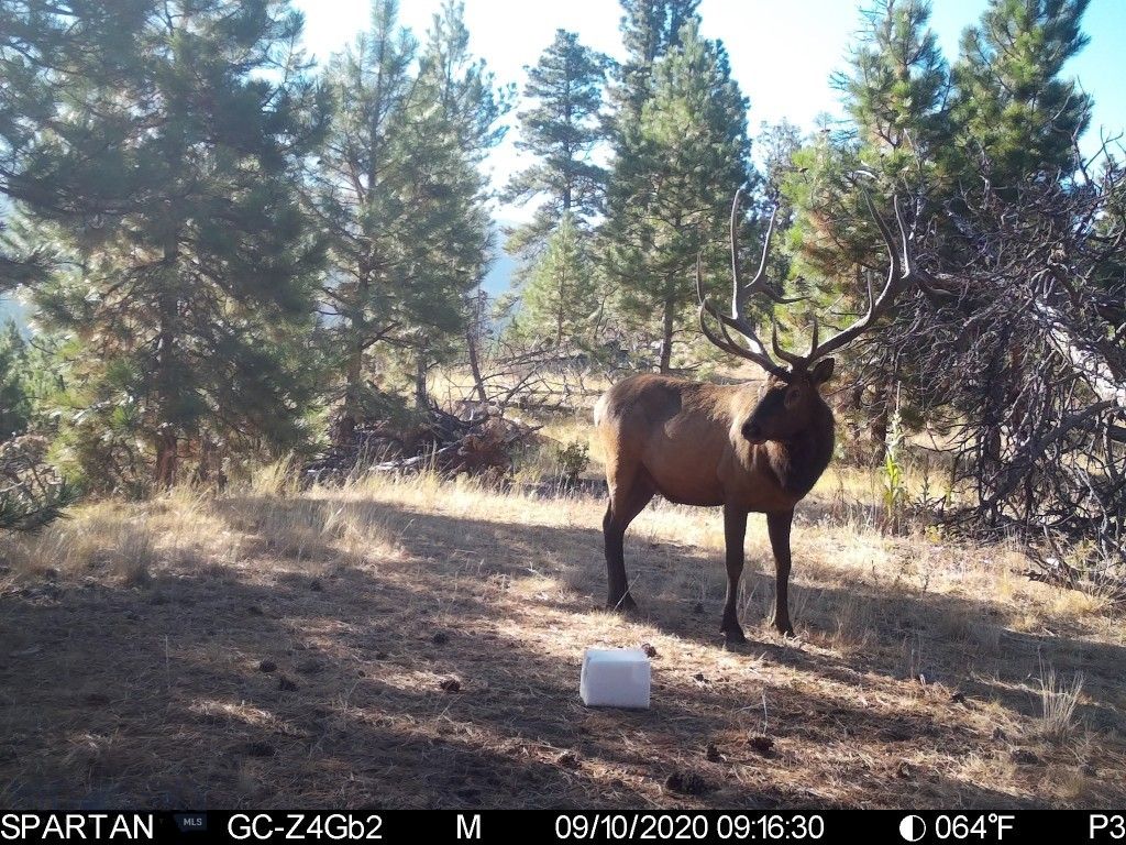 19 September Drive, Clancy, MT 59634 photo 83