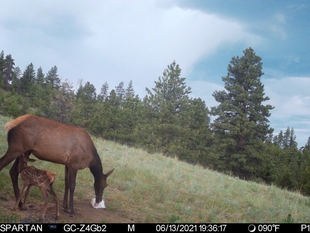 19 September Drive, Clancy, MT 59634 photo 84