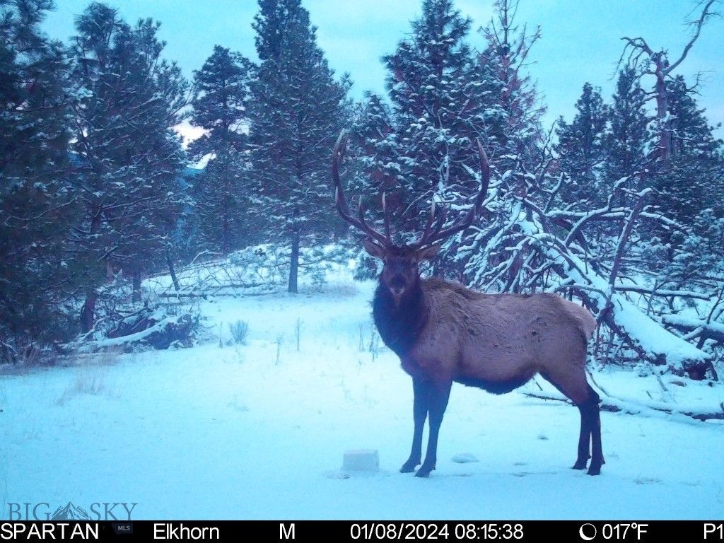 19 September Drive, Clancy, MT 59634 photo 86