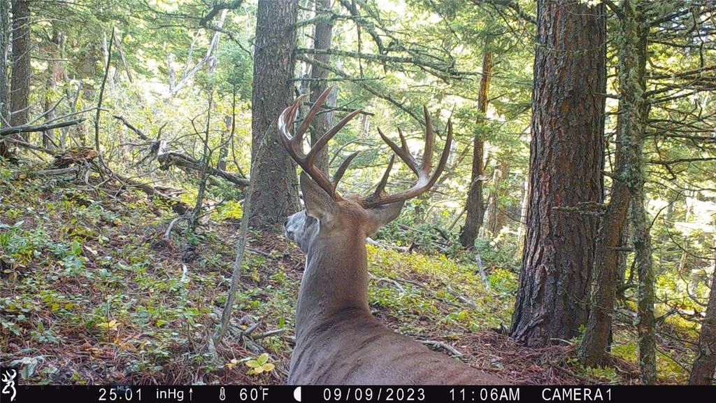 19 September Drive, Clancy, MT 59634 photo 87