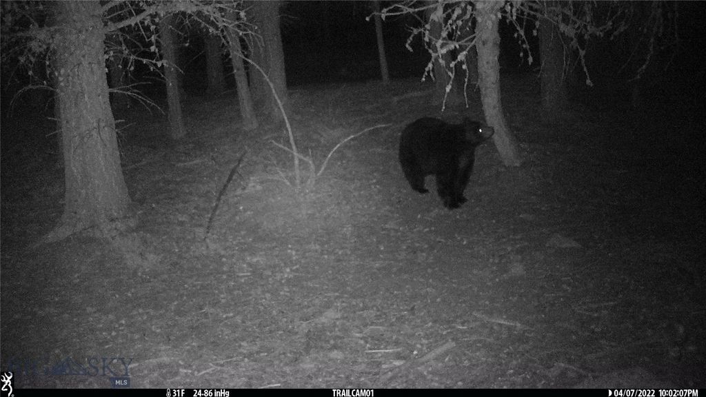 19 September Drive, Clancy, MT 59634 photo 89