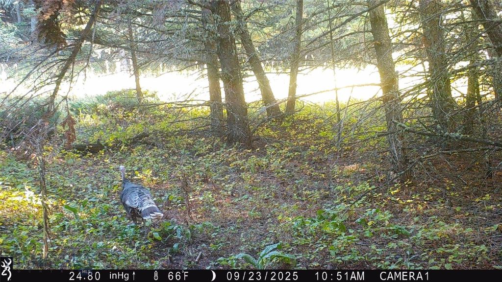 19 September Drive, Clancy, MT 59634 photo 92