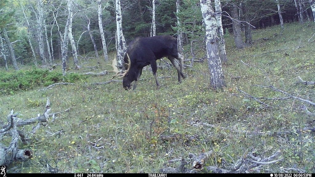 19 September Drive, Clancy, MT 59634 photo 93