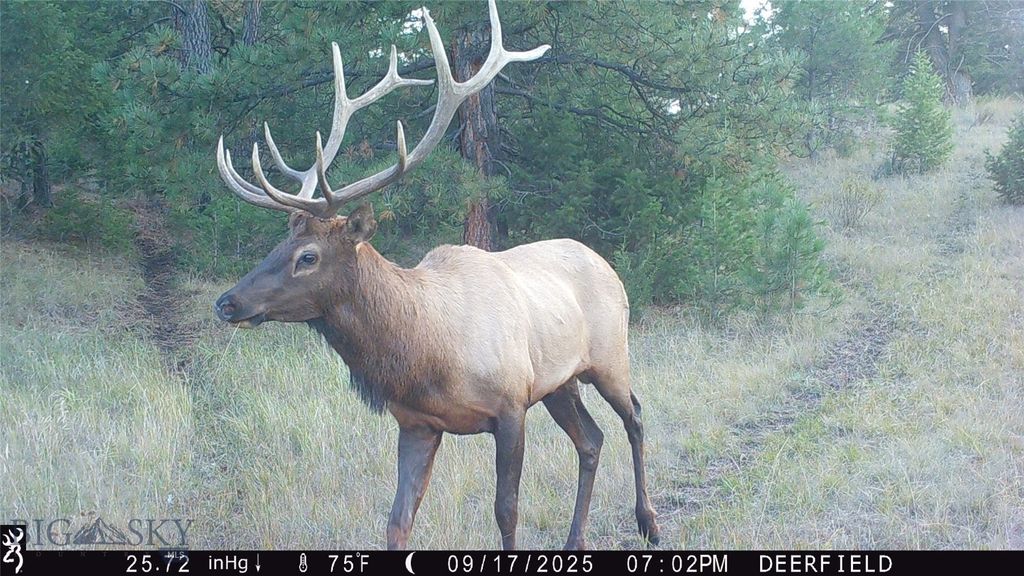 19 September Drive, Clancy, MT 59634 photo 94