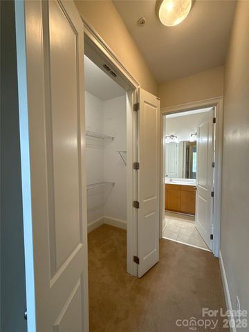 2988 Selwyn Avenue, Charlotte, NC 28209