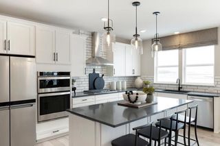 15008 Ashtown Lane, Rosemount, MN 55068