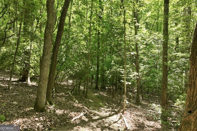 18 Y Grimes Nose, Sautee Nacoochee, GA 30571
