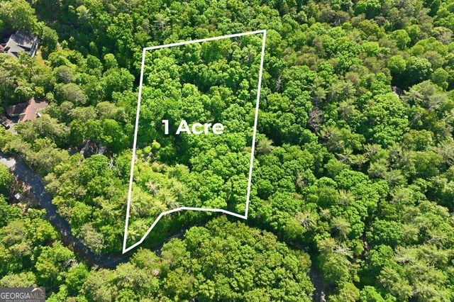 18 Y Grimes Nose, Sautee Nacoochee, GA 30571