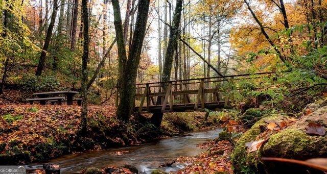 18 Y Grimes Nose, Sautee Nacoochee, GA 30571