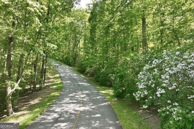 18 Y Grimes Nose, Sautee Nacoochee, GA 30571