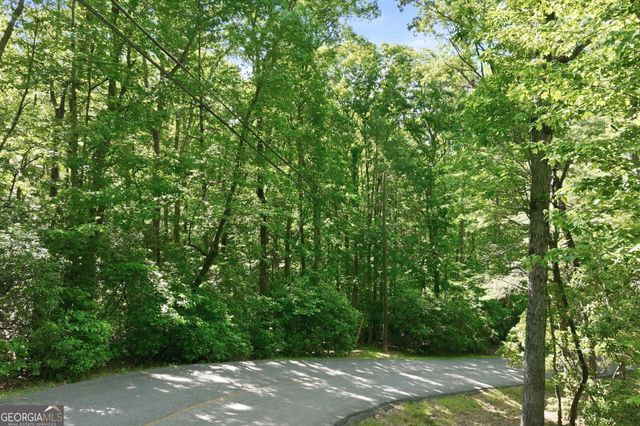 18 Y Grimes Nose, Sautee Nacoochee, GA 30571