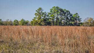 TBD (LOT 1) Podraza Road, New Waverly, TX 77358