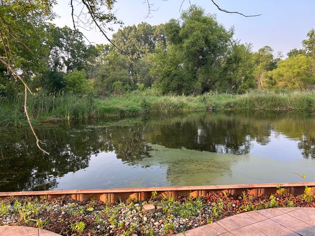 10989 Scio Church Road, Chelsea, MI 48118