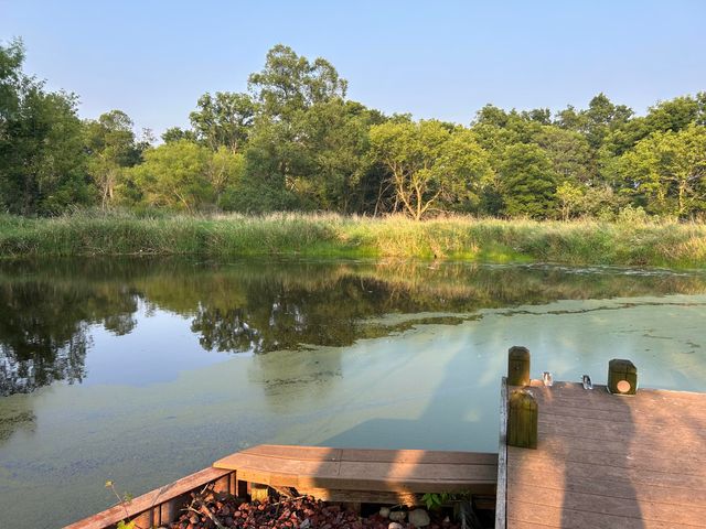 10989 Scio Church Road, Chelsea, MI 48118