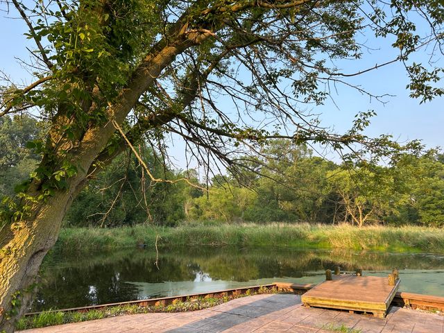 10989 Scio Church Road, Chelsea, MI 48118