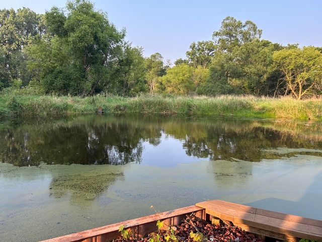 10989 Scio Church Road, Chelsea, MI 48118