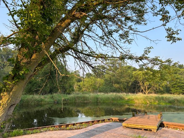 10989 Scio Church Road, Chelsea, MI 48118