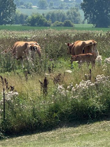 10989 Scio Church Road, Chelsea, MI 48118