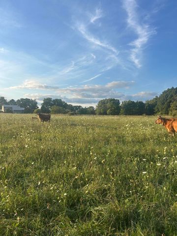 10989 Scio Church Road, Chelsea, MI 48118