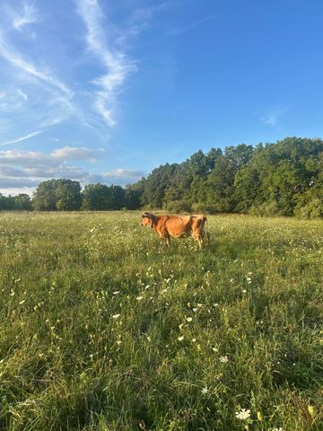 10989 Scio Church Road, Chelsea, MI 48118