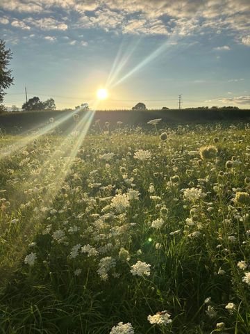 10989 Scio Church Road, Chelsea, MI 48118