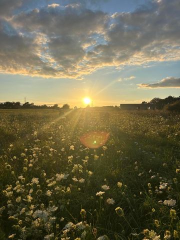 10989 Scio Church Road, Chelsea, MI 48118